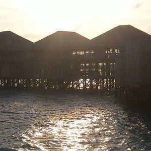 Meet your Posher, Elbert